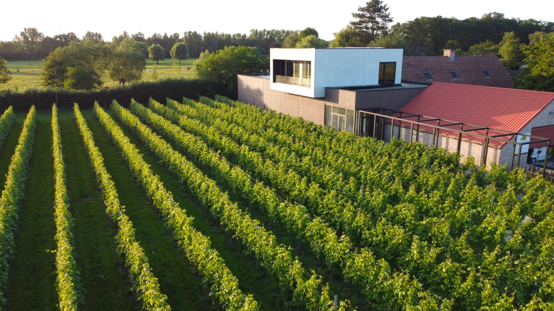 Association des vignerons de Wallonie (ASBL)Belgique Wallonie