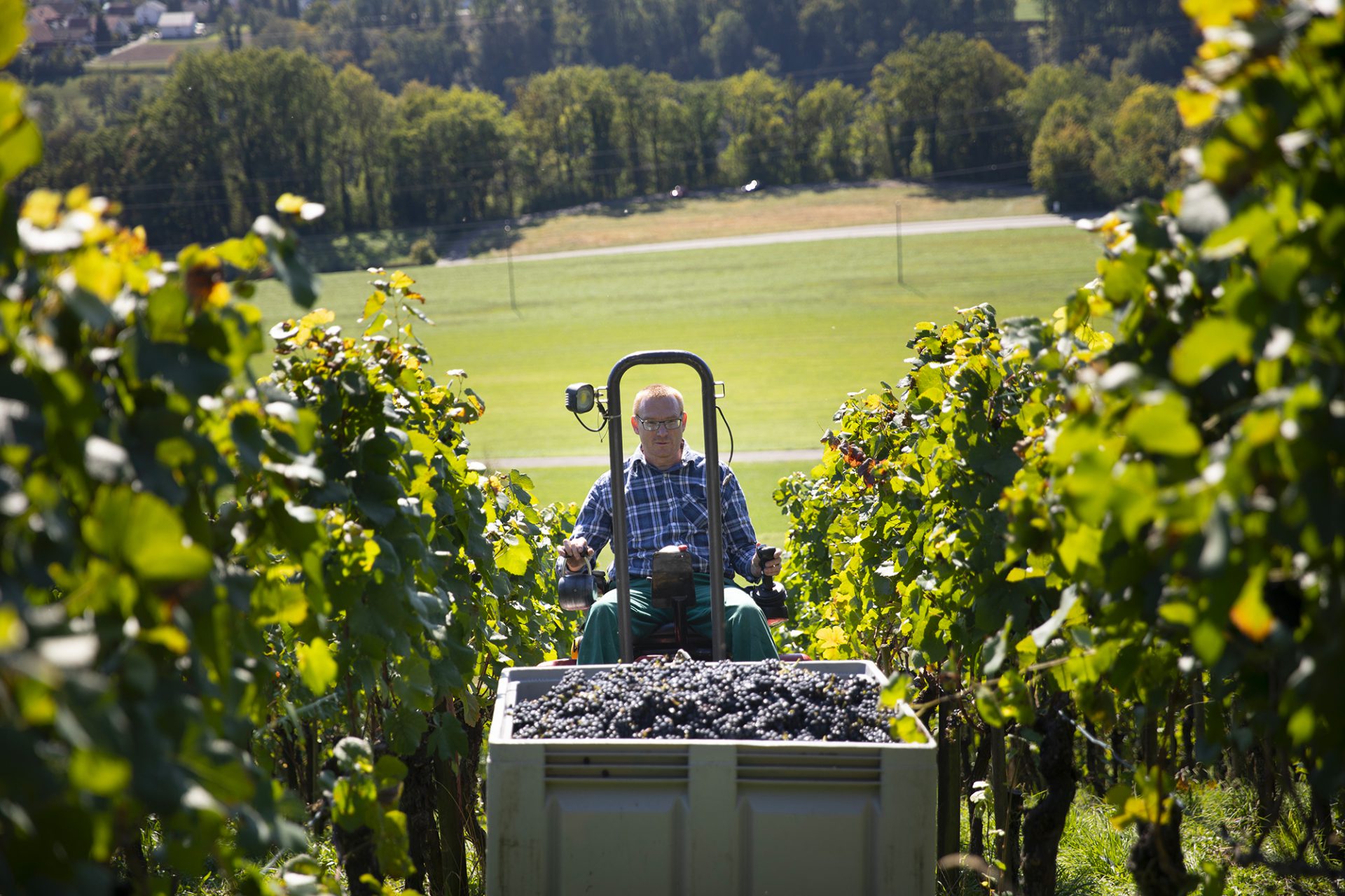 Courrier à la Présidente de la Commission Européenne – Mesures exceptionnelles pour soutenir le secteur vitivinicole européen