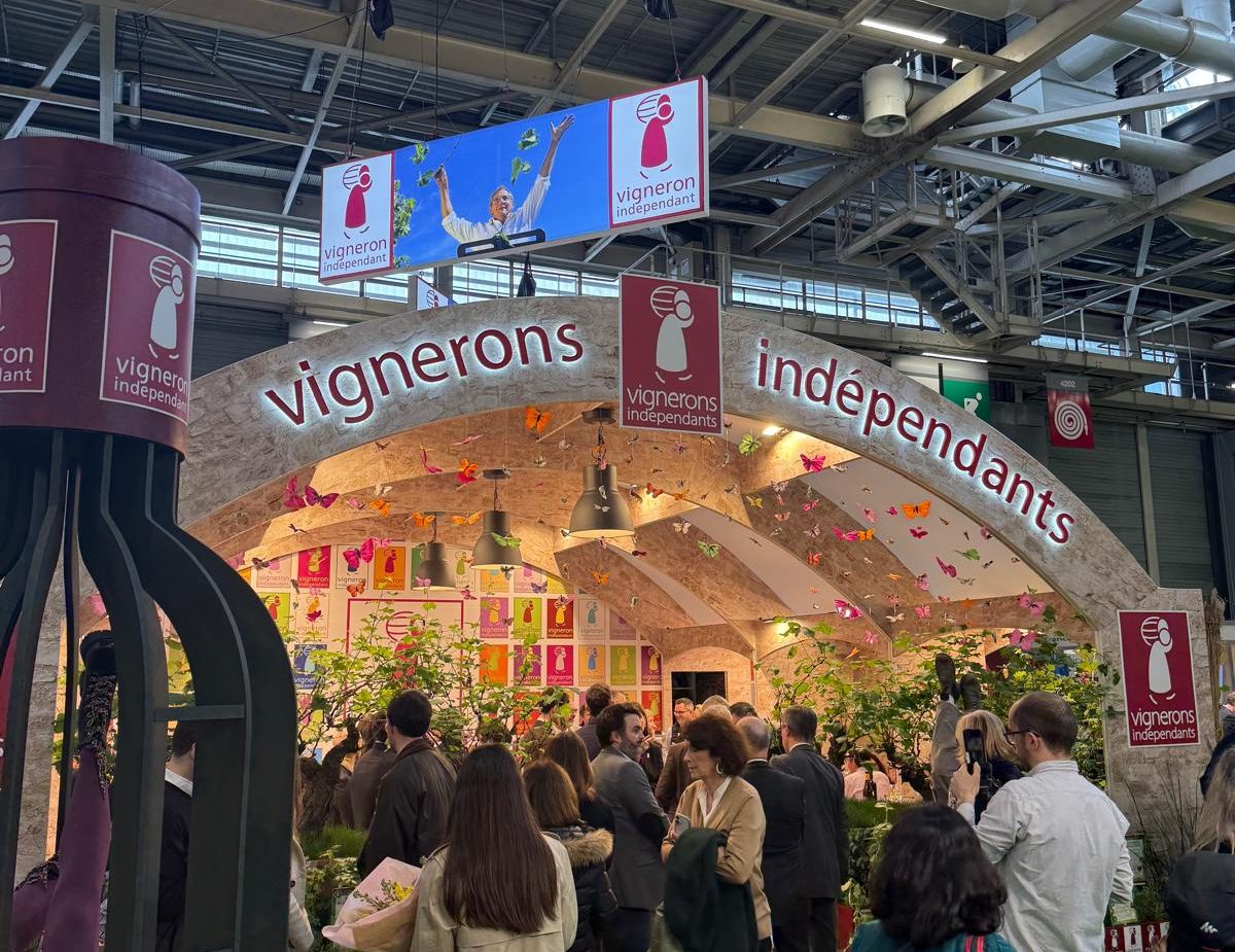 whatsapp image 2026 02 26 at 13.34.54